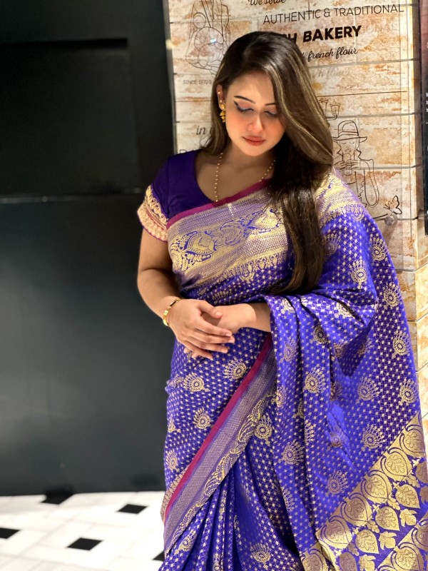 Katan Banarasi saree (9)