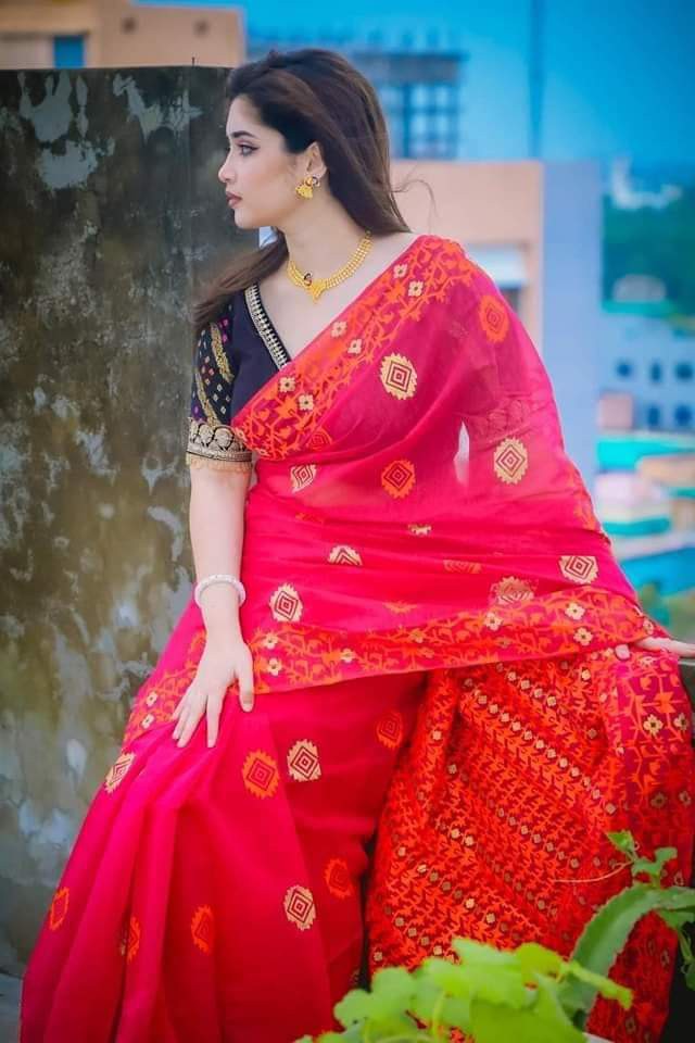 Nice Silk Screen Print Saree Women