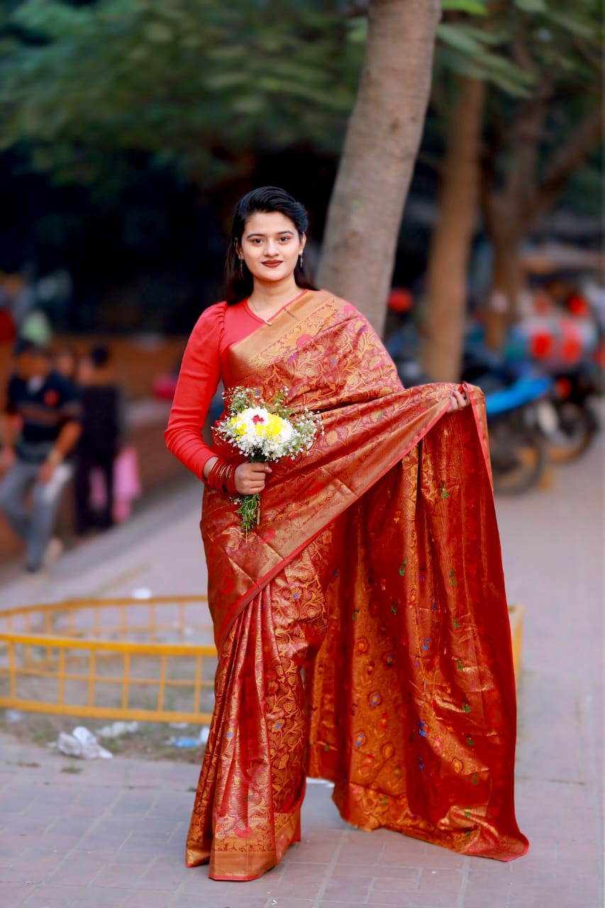 Premium Silk Cotton Saree For Ladies