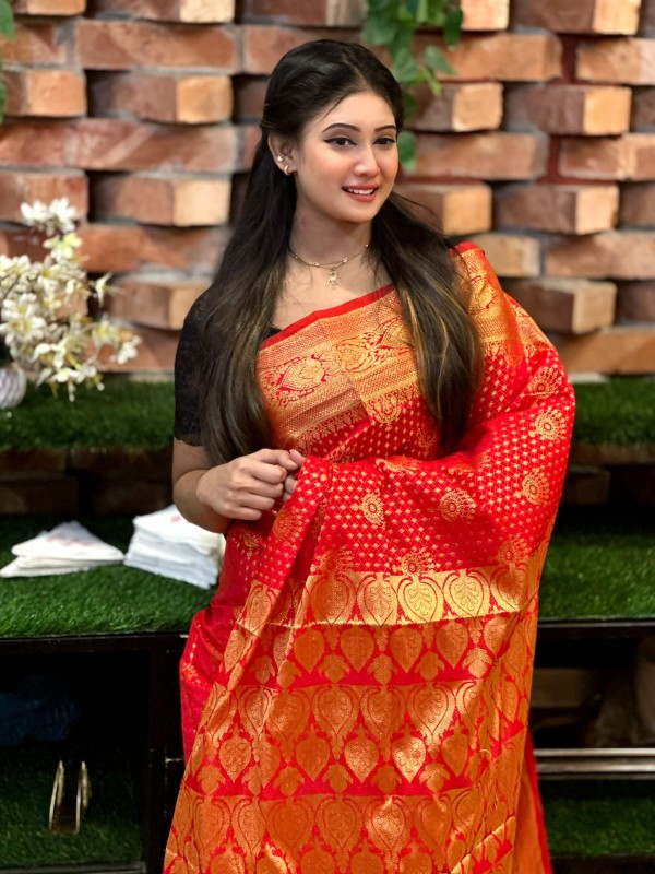 Katan Banarasi saree (17)