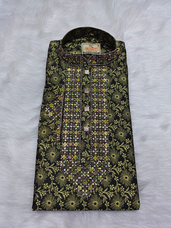 Indian Katan Royal Embroidery Panjabi