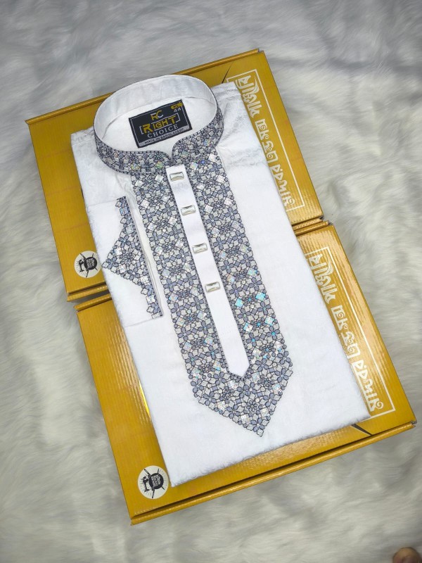 Sequence Embroidery Panjabi Royal Edition