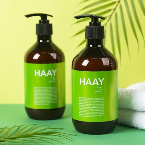 Haay Scalp Care Shampoo (500gm)