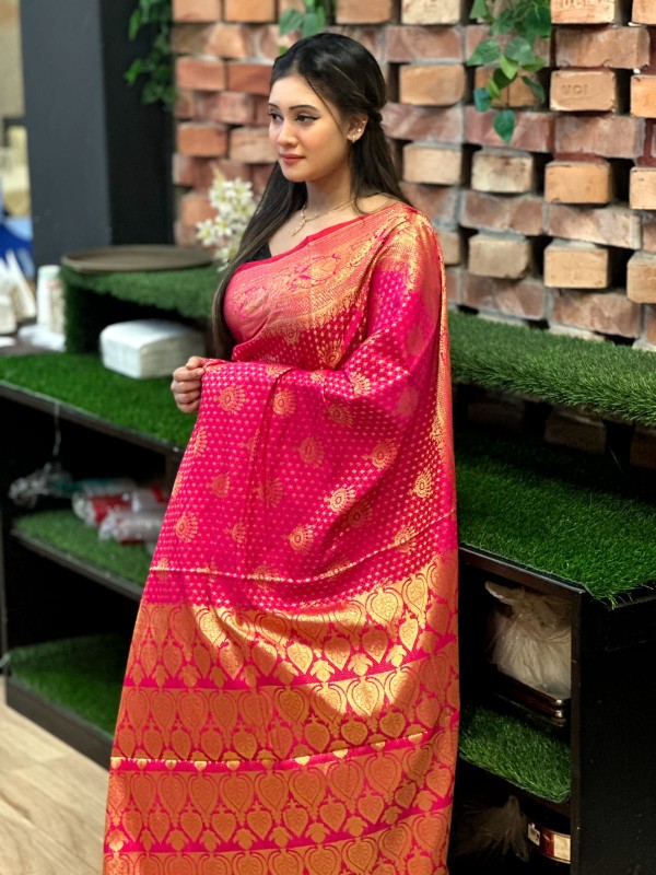 Katan Banarasi saree (6)