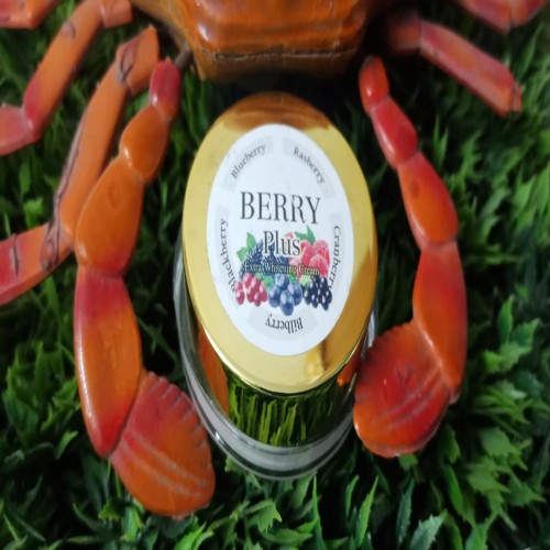 Berry Plus Cream mini  price in Bangladesh