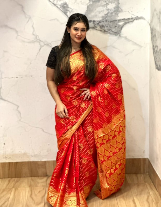 Katan Banarasi saree (13)