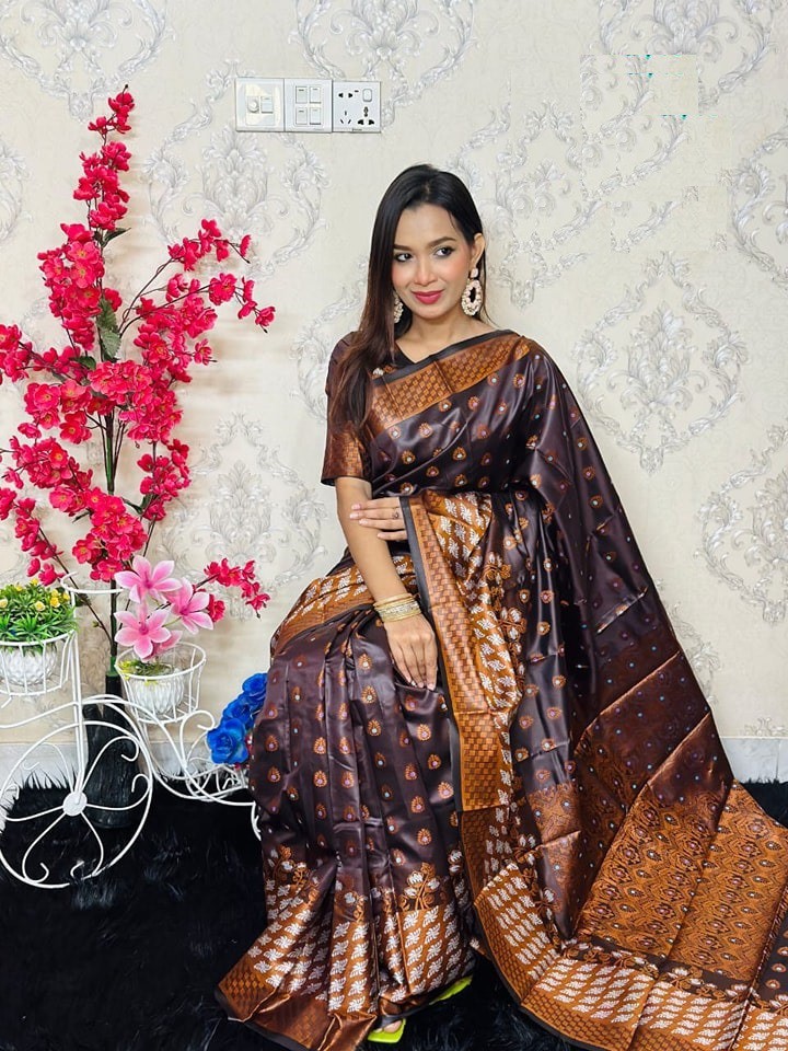 Soft Silk Katan Saree (2)