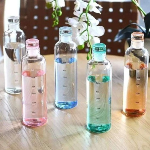 Transparent Water Bottle Stay Refreshed Sleek -500Ml