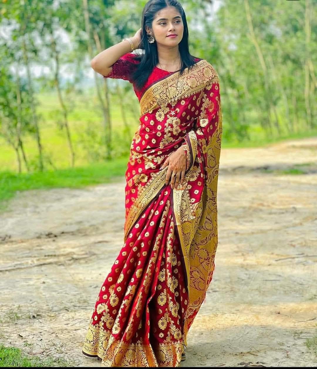Silk Cotton Saree For Women