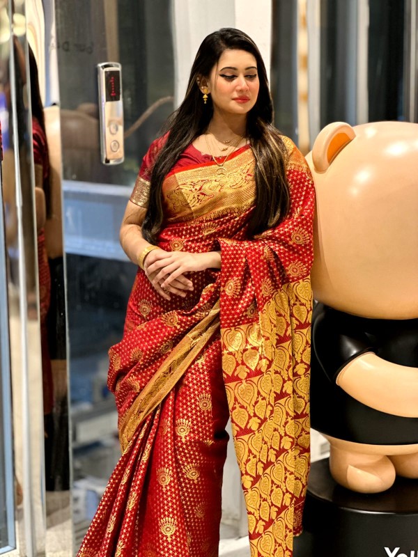 Katan Banarasi saree (15)