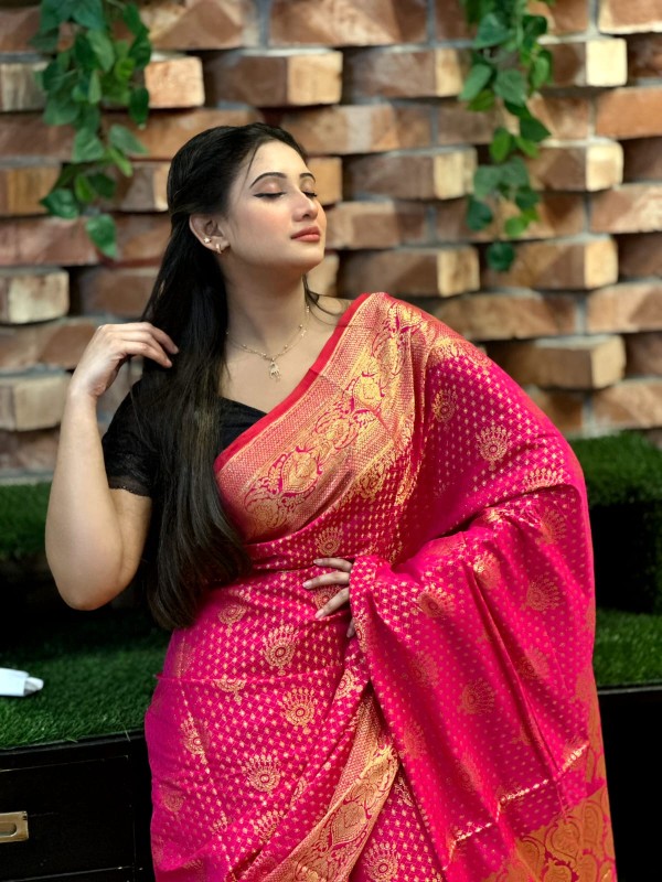 Katan Banarasi saree (5)