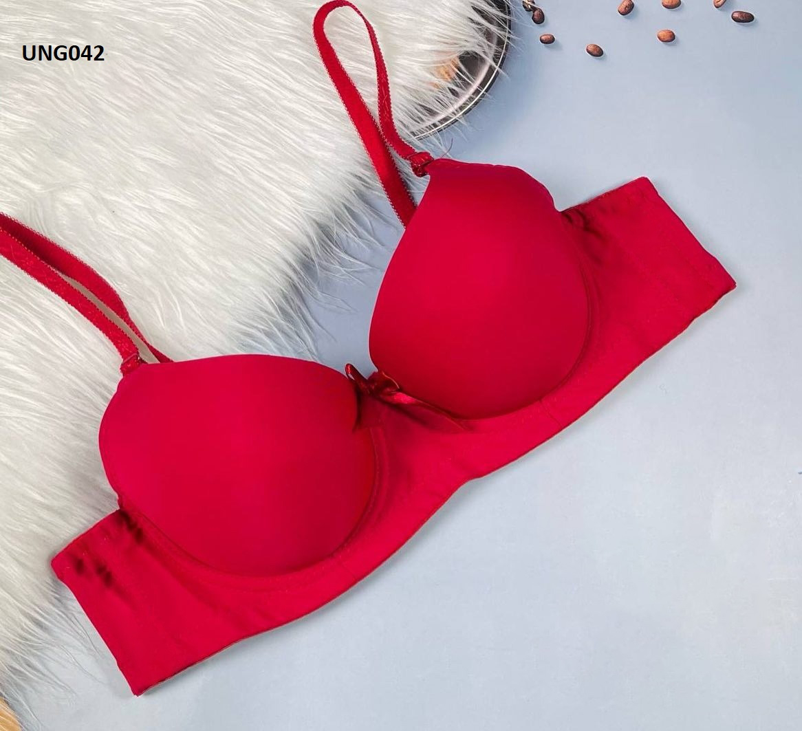 High Quality Ladies Sexy Bra Price in Bangladesh