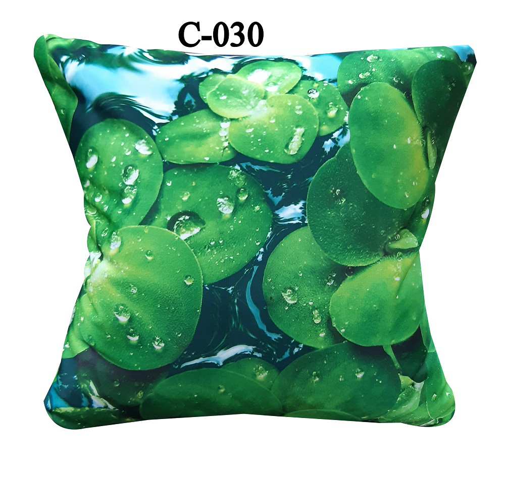 Digital Print Cushion Cover (4)