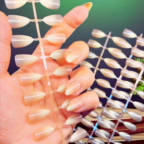 artificial press-on nail tips 5set 5 colour best price in bd