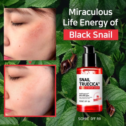 Snail Truecica korean  price in Bangladesh