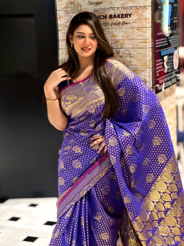 Katan Banarasi saree (18)