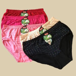under-wears-lady-panties (4)