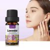 SADOER-Lavender-Multipurpose-Plant-Essential-Oil-1