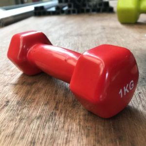 1kg-vinyl-dumbbell-2