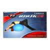 Ninja-Gym-Ball-Blue-2.